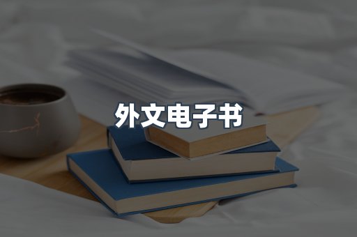 外文电子书